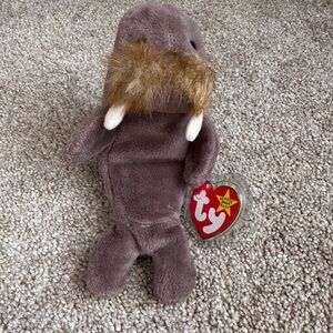 Ty Beanie Baby Jolly Walrus Plush